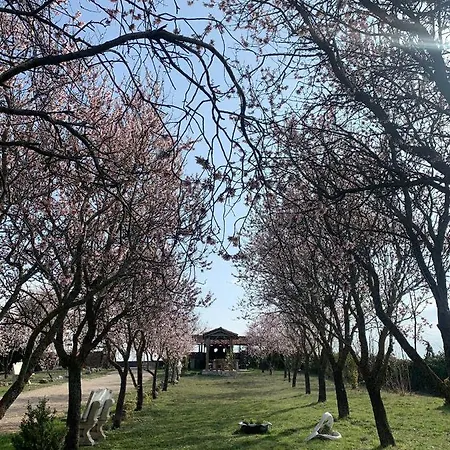 Privada 6 Hectareas Villa-santa Escolastica ספולבדה